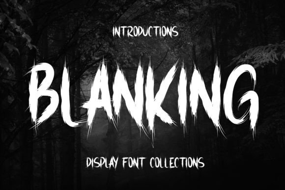 Blanking: A Display Font for Elegant Editorial Design