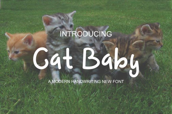 Cat Baby: A Playful Display Font for Youthful Design